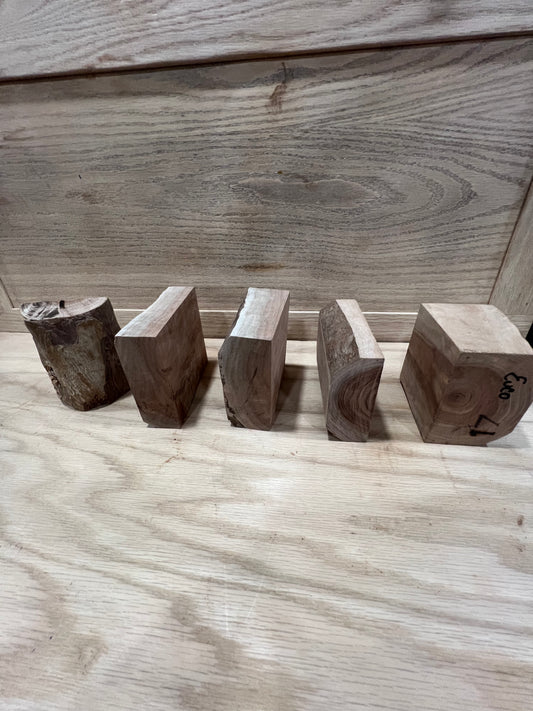 5 piece set of eucalyptus #771, 772, 773, 774, 775