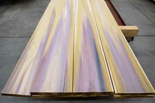 Rainbow Poplar